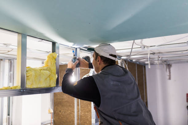 Best Insulation for Specific Applications in De Pue, IL