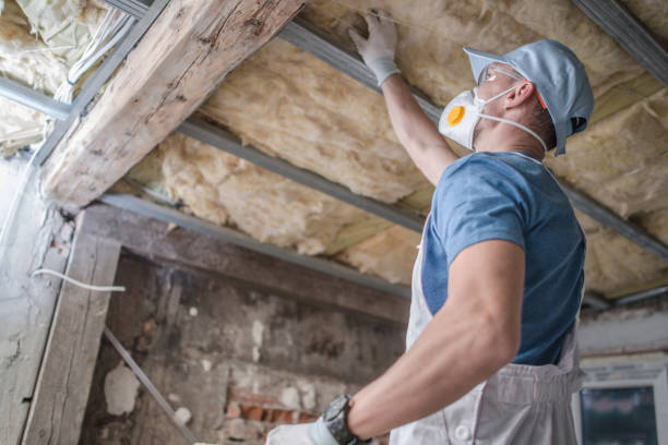 Types of Insulation We Offer in De Pue, IL