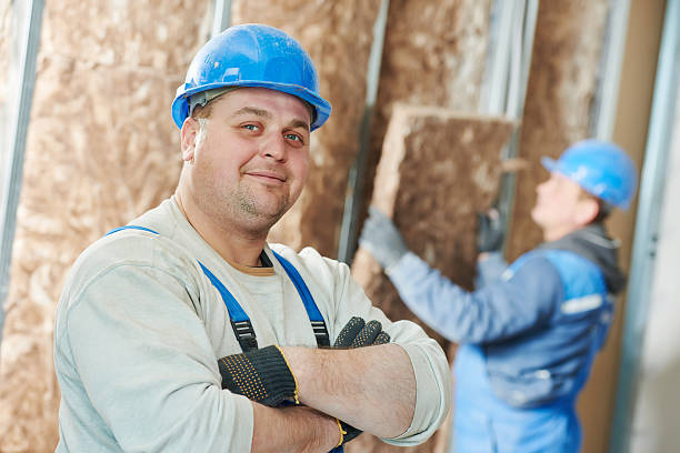 Best Insulation Maintenance and Repair in De Pue, IL