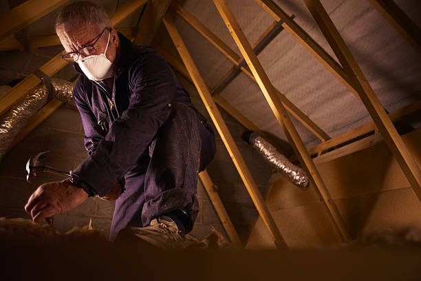 Best Spray Foam Insulation in De Pue, IL